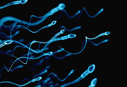 Токсические факторы для сперматозоидов