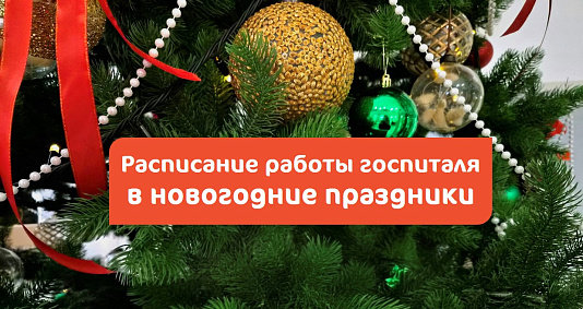График работы в новогодние праздники