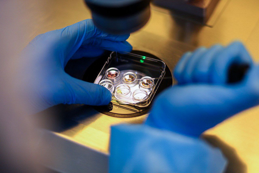 ДЕНЬ ОТКРЫТЫХ ДВЕРЕЙ в отделении ЭКО КГ «Мать и дитя»